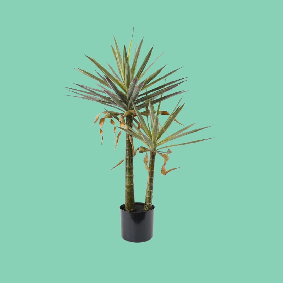 עציץ סוקולנט מלאכותי